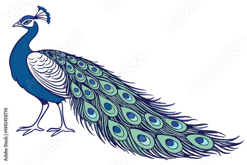 peacock with feather