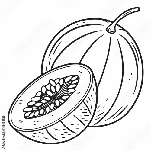 vector illustration of an orange fruit