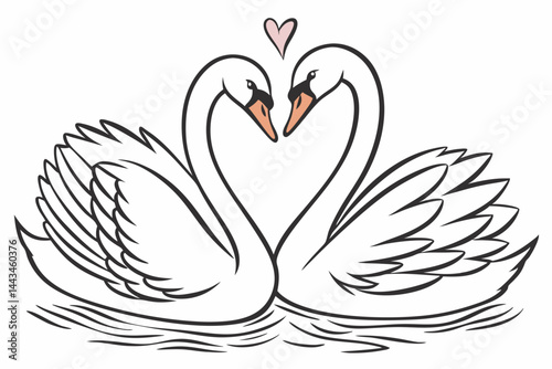 swans and heart