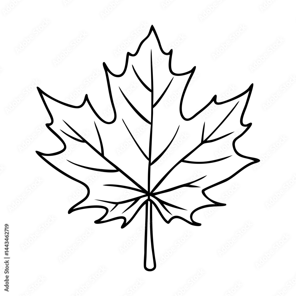 Fototapeta premium maple leaf icon, maple leaf vector illustration-simple illustration of maple leaf, perfect for maple leaf logos and icons