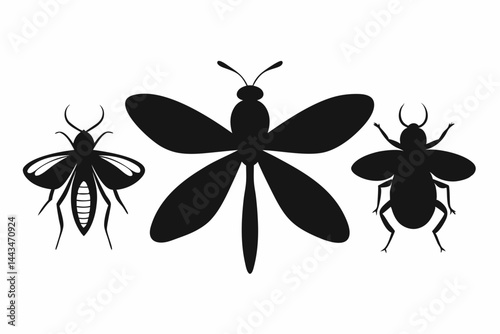 black and white butterfly