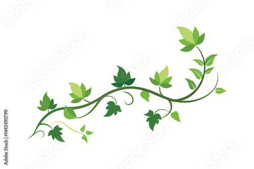 green leaves on white background