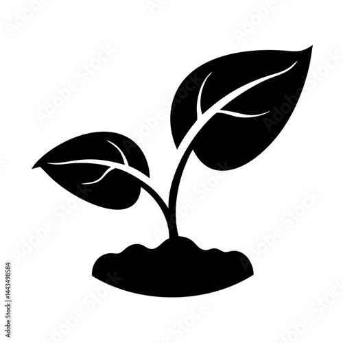 Black and white image depicting a seedling with two leaves in soil