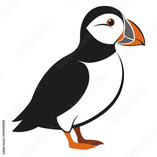 Colorful cartoon puffin bird with orange beak and black and white body