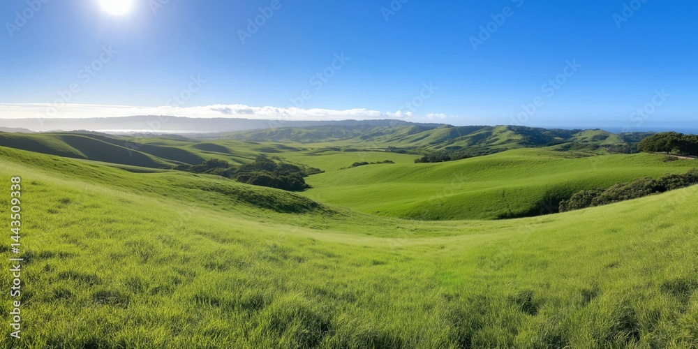 Obraz premium A large, open field with a bright blue sky. The grass is lush and green, and the sun is shining brightly. Concept of peace and tranquility, as if one were standing in the middle of a vast