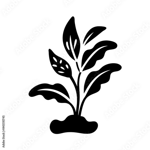 Monochrome depiction of a plant with broad leaves emerging from soil
