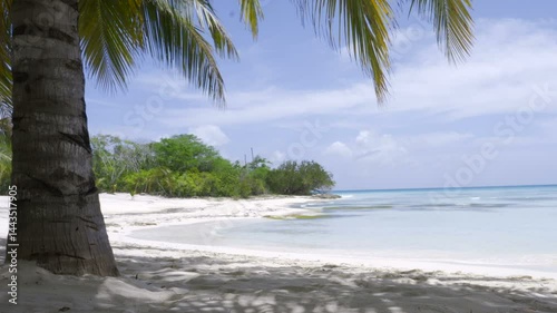 Saona Island, Dominican Republic Shoreline – Relaxing Waves Crashing on Shore – Travel Background