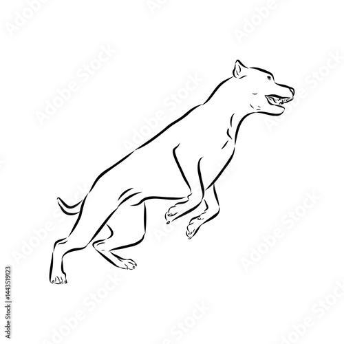 Argentine Great Dane vector sketch beautiful Great Dane line art images