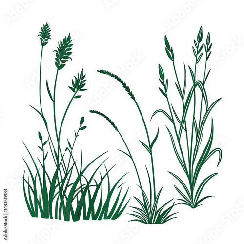 Green grass tufts, simple vector isolated elements,flat design,lawn border,grass blades, minimalist nature graphics,2D grass patches