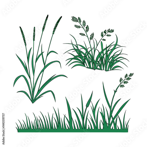 Green grass tufts, simple vector isolated elements,flat design,lawn border,grass blades, minimalist nature graphics,2D grass patches
