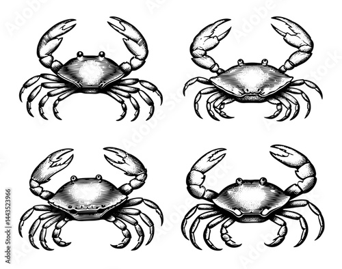 crabs set vintage style black and white illustration