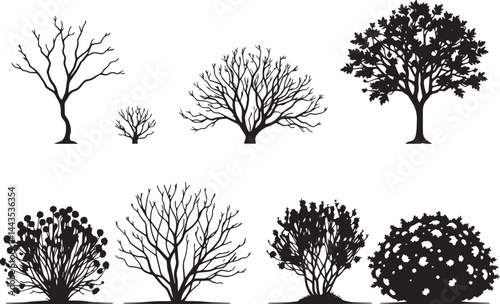 A set of shrubs, bushes, trees. Hand drawn vector illustration