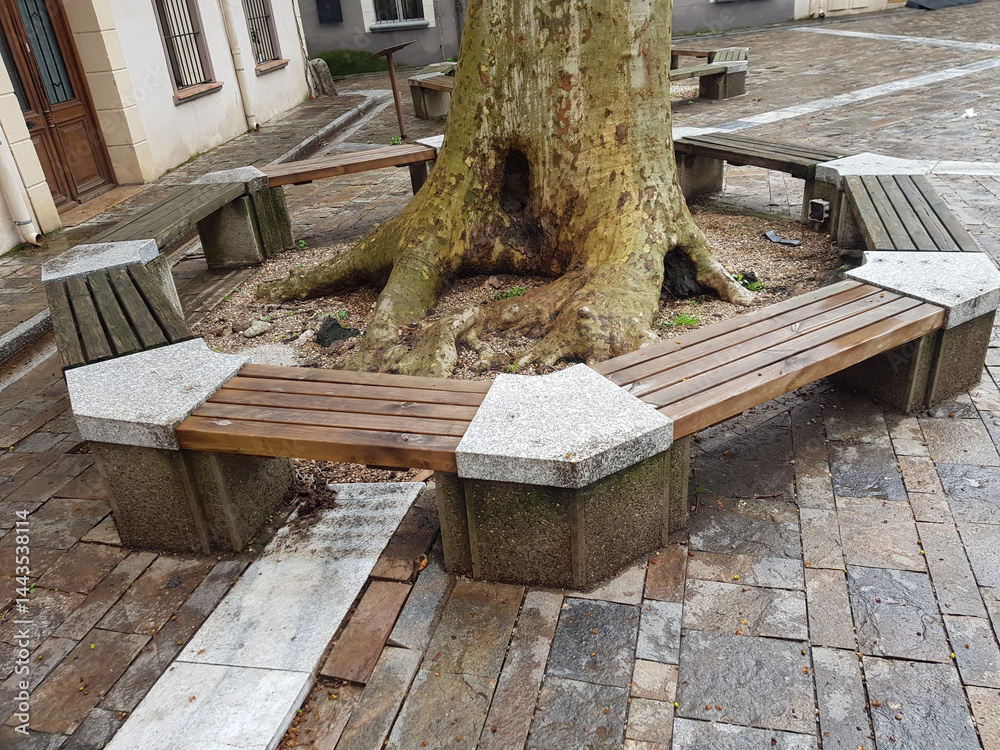 A circular bench made of stone and wood is built around a large tree in a public square. The ground is wet from recent rain, creating a tranquil atmosphere