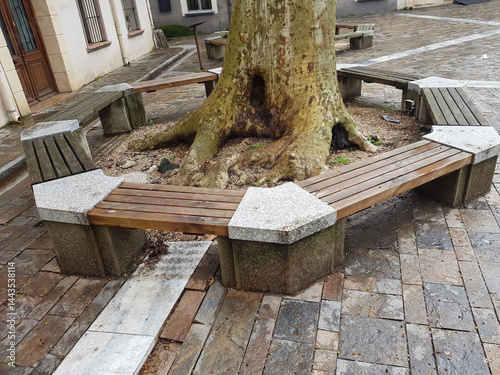 A circular bench made of stone and wood is built around a large tree in a public square. The ground is wet from recent rain, creating a tranquil atmosphere