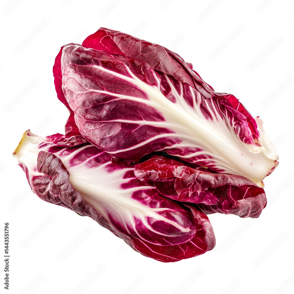 Obraz premium Fresh radicchio red salad leaves isolated on a transparent background for culinary presentations and recipes, Radicchio red salad isolated on transparent background