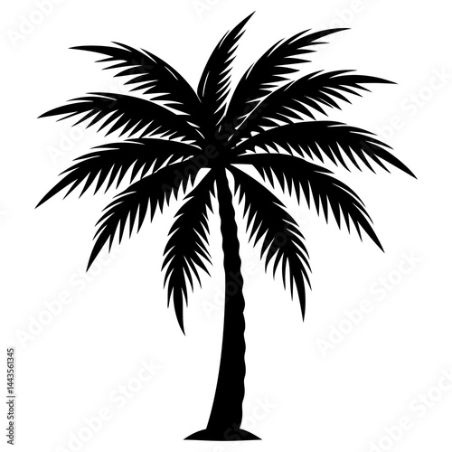 palm tree silhouette