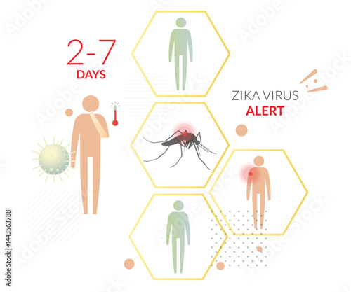 Mosquito vector-borne Virus - Zika Alert - Stock Illustration