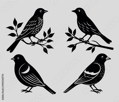 Photography set of birds vector silhouettes on white background bundle of 4 birds