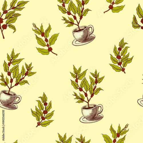 Seamless patterns with Coffee plants or branches in vintage style. Tree from a cup. Hand drawn engraved retro sketch for labels.