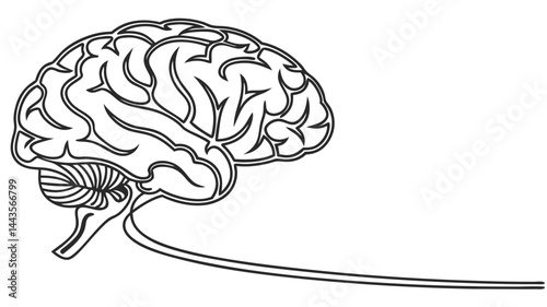 human brain vector illustration