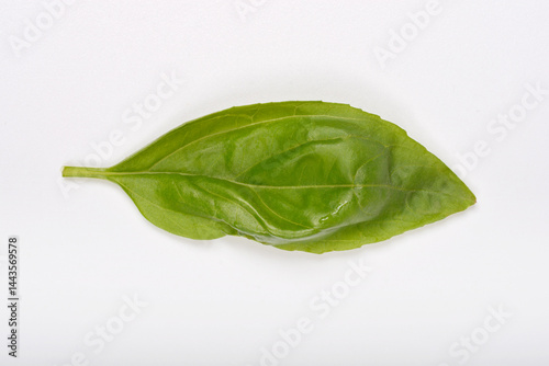 Obraz na płótnie A single, fresh green basil leaf with visible veins and a slight curl rests on a plain white surface w salonie