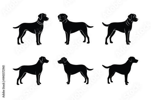 Black Labrador Retriever Dog Breed Vector Bold 23