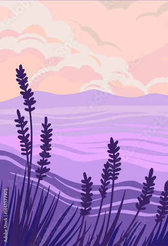 Field lavanda vector illustration. Landscape lavanda art.