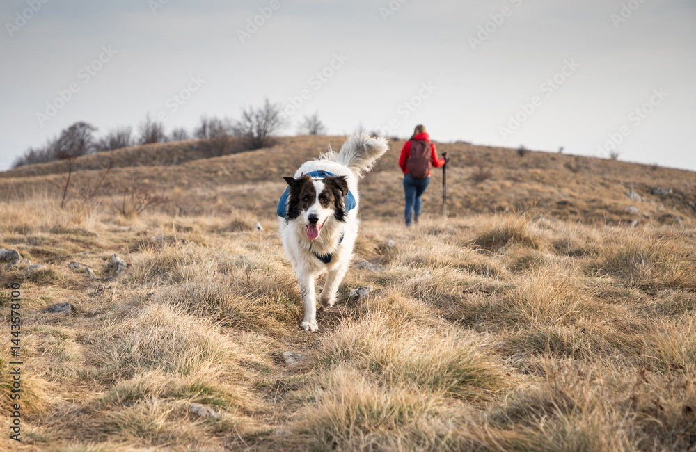 happy fit woman trekking with her dog
