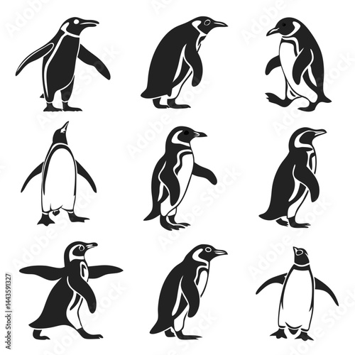 Cute Minimal Penguin Vector Set for Winter and Animal Graphics