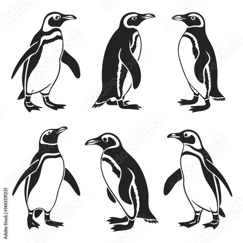 Cute Minimal Penguin Vector Set for Winter and Animal Graphics