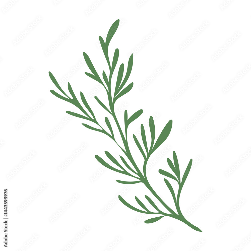 Fototapeta premium Green dill herb flat in flat design. Fennel leaves, seasoning plant. Vector illustration isolated.