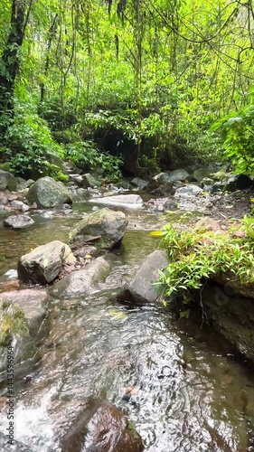 River stream waterfall in forest landscape