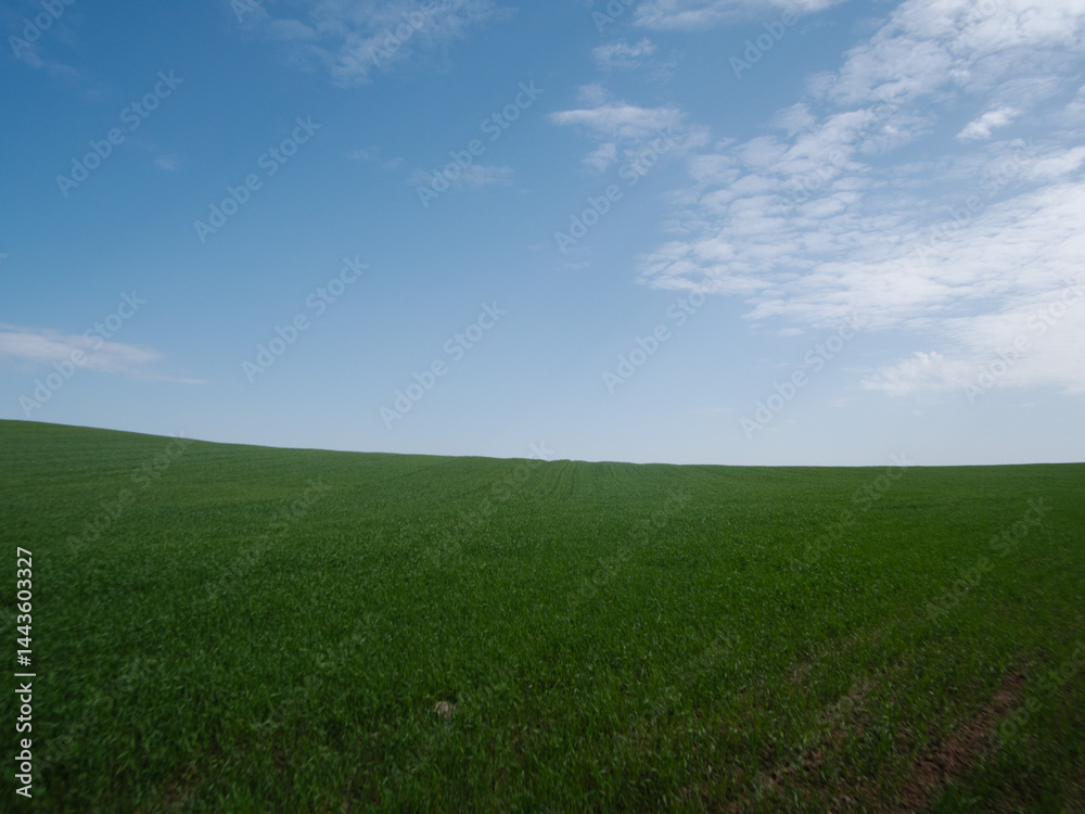 A tranquil and serene landscape showcases a vast lush green field that extends beneath a bright blue sky A tranquil and serene landscape showcases a vast lush green field that extends beneath a bright blue sky