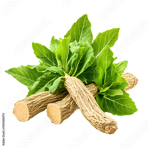 Fresh ashwagandha roots and leaves arranged beautifully, showcasing their natural green color and earthy texture
