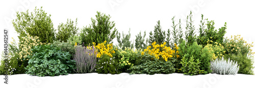Lush greenery and vibrant flowers in a natural garden setting, showcasing diverse plant life and colorful blooms