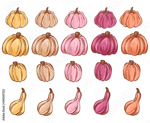 Set of pumpkins of different colors. Cute hand drawn pumpkins, illustration