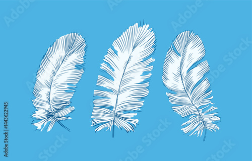 Feathers on white background. Hand drawn black fluffy feathers. Line and Ink sketch. Vintage style. Ethnic boho style hand drawing. ector clipart illustration. 
