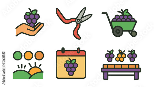 Flat vector icons of grape harvesting: handpicked grapes basket, harvest scissors icon, full crate of grapes, vineyard collection cart, grape ripeness chart, harvest season calendar, morning harvest