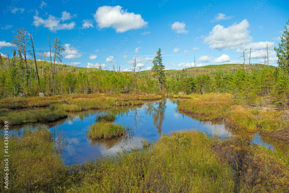 Tiny Pond in the Heart of the North Woods