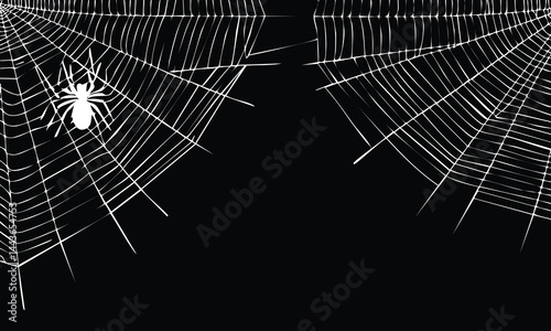 Wicked Cobweb Vector Design Art