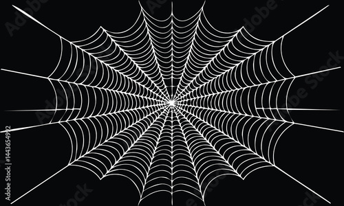 Lurking Spider Web Vector Illustration