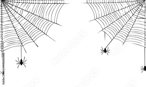 Delicate Spider Web Vector Illustration