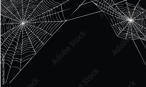 Gothic Cobweb Vector Halloween Art