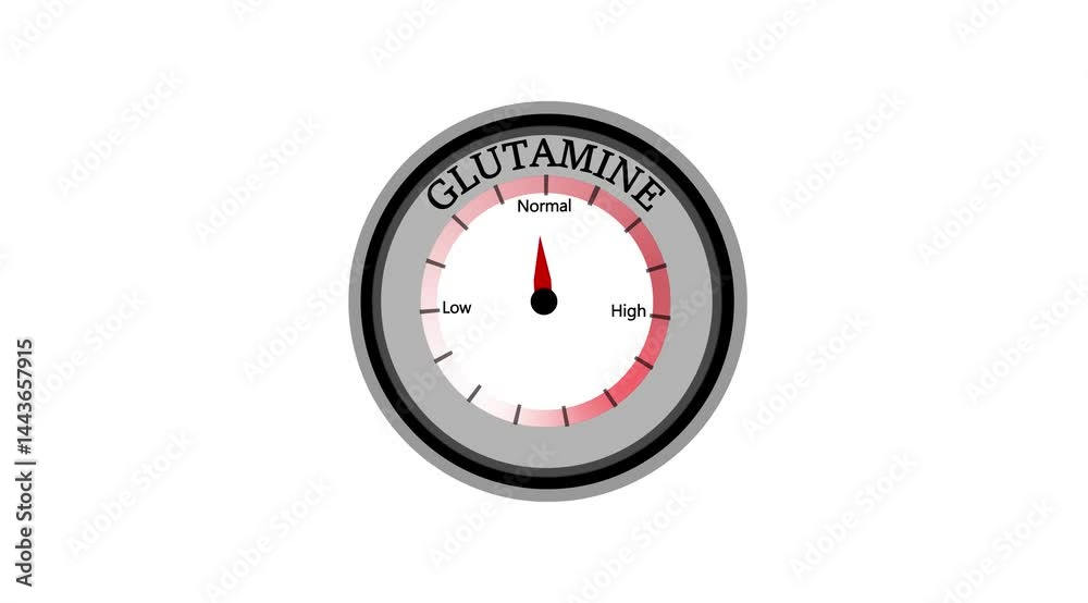 Glutamine text or word shown with a barometer or tachometer-style gauge, representing varying levels of artery blockage and heart function severity Glutamine text or word shown with a barometer or tachometer-style gauge, representing varying levels of artery blockage and heart function severity