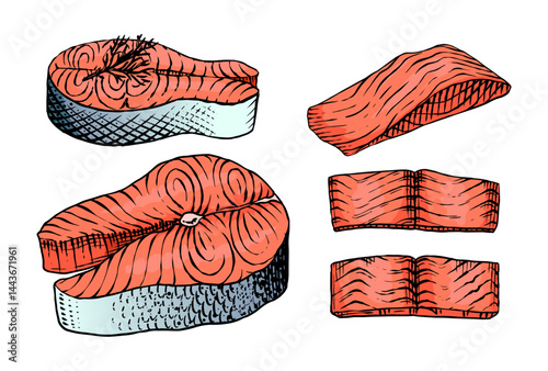 Fish sketch. Salmon fillet, ink hand drawn vector illustration. Steaks slices. Fresh product. Engraved style vintage seafood. sea food restaurant menu, cooking recipe, product package, card