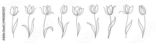 Set of one line tulips. Hand drawn contuor drowing of spring flowers. Modern single line art. Vector minimal floral illustration.	
