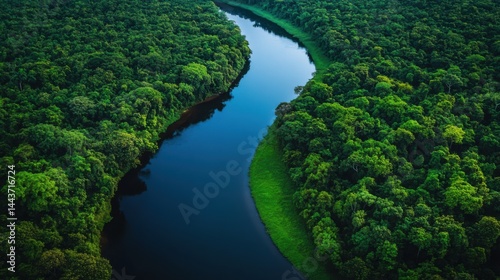A serene river winding through a lush forest, the water clear and inviting