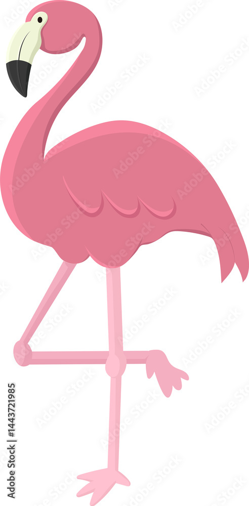 Fototapeta premium Pink Flamingo Standing Gracefully 