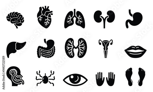 Human Organs and Body Parts Icon Set,  Medical Silhouette Vector Symbols