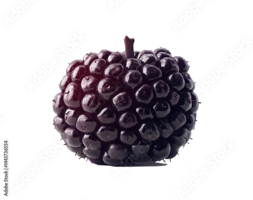 Closeup of a single ripe dark purple dewberry against a stark black background